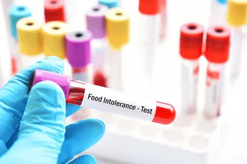 Mission Main Kidney Test At Home 3ba31045 Fd01 image