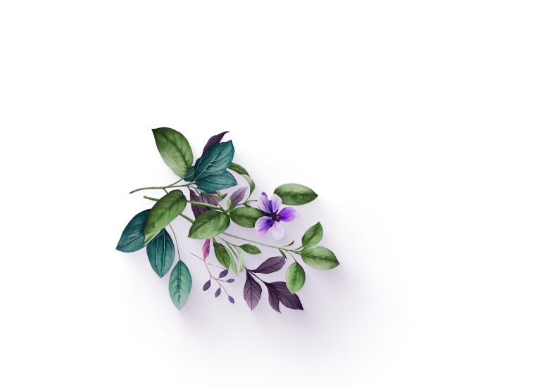 Plant Lazyload Fade In Home Healthcare Items Plant image