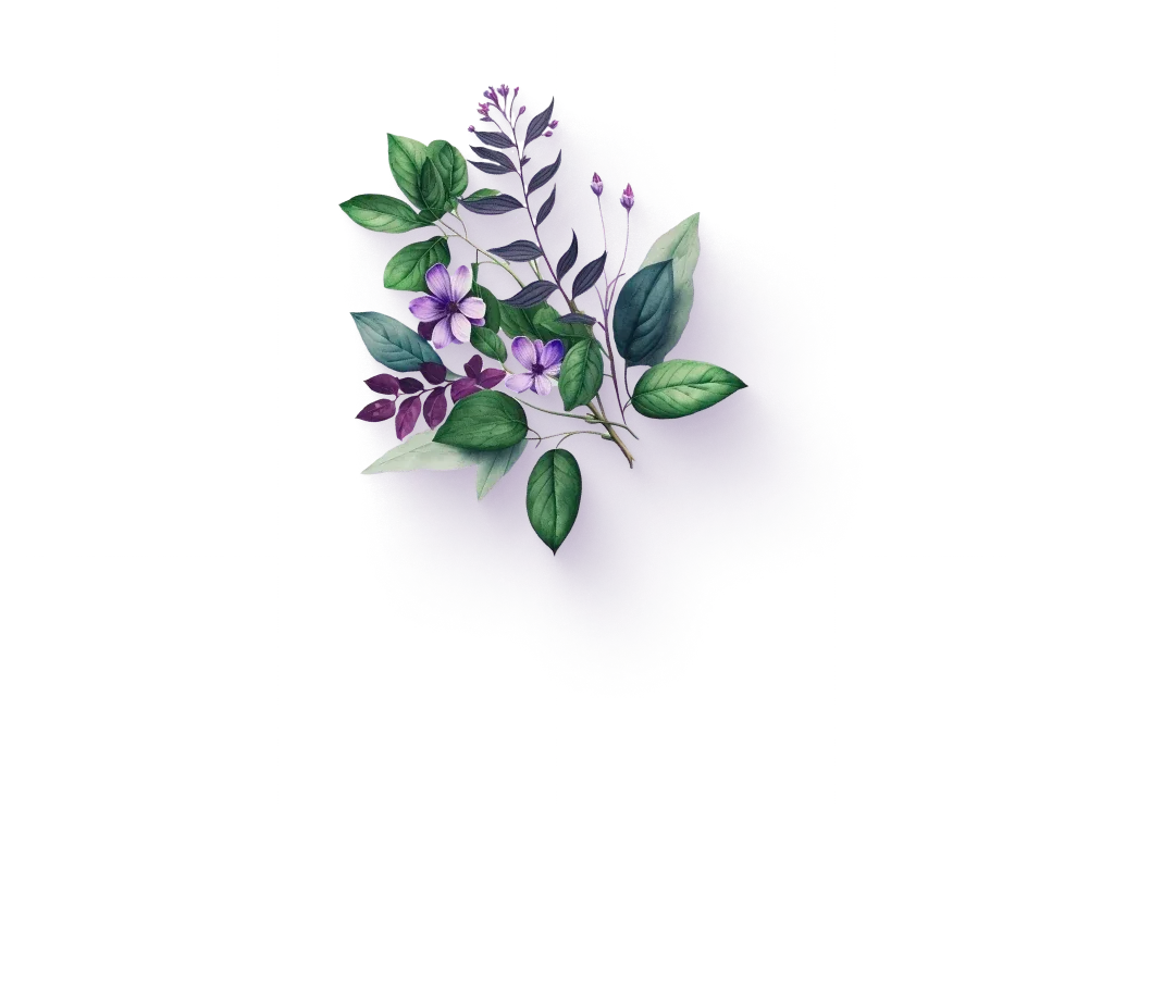 Plant Lazyload Fade In Home Healthcare Items Plant image