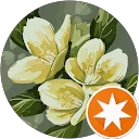 Sini Tony image