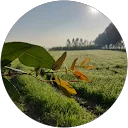 Nishant gahlaut image