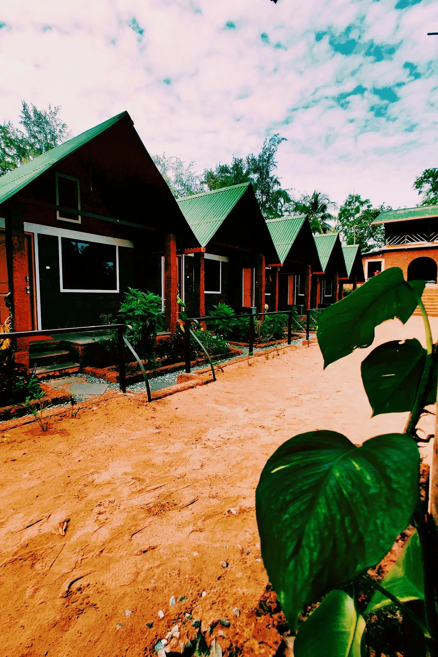 Camping Tents image