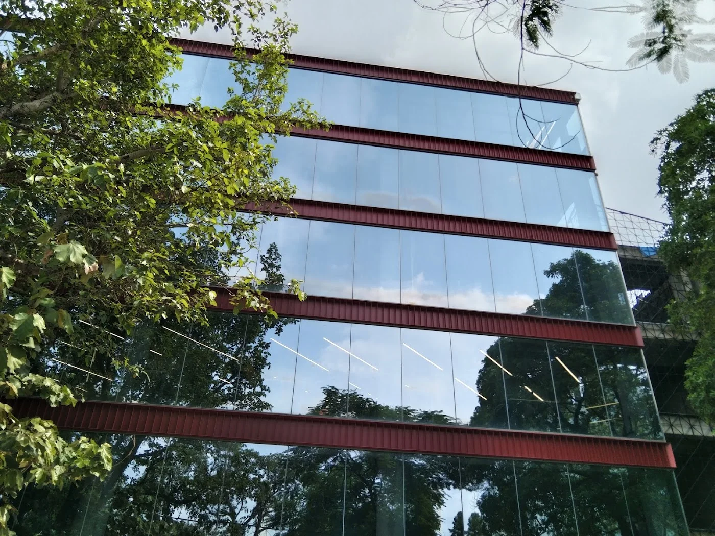 Consultancy & valuation image