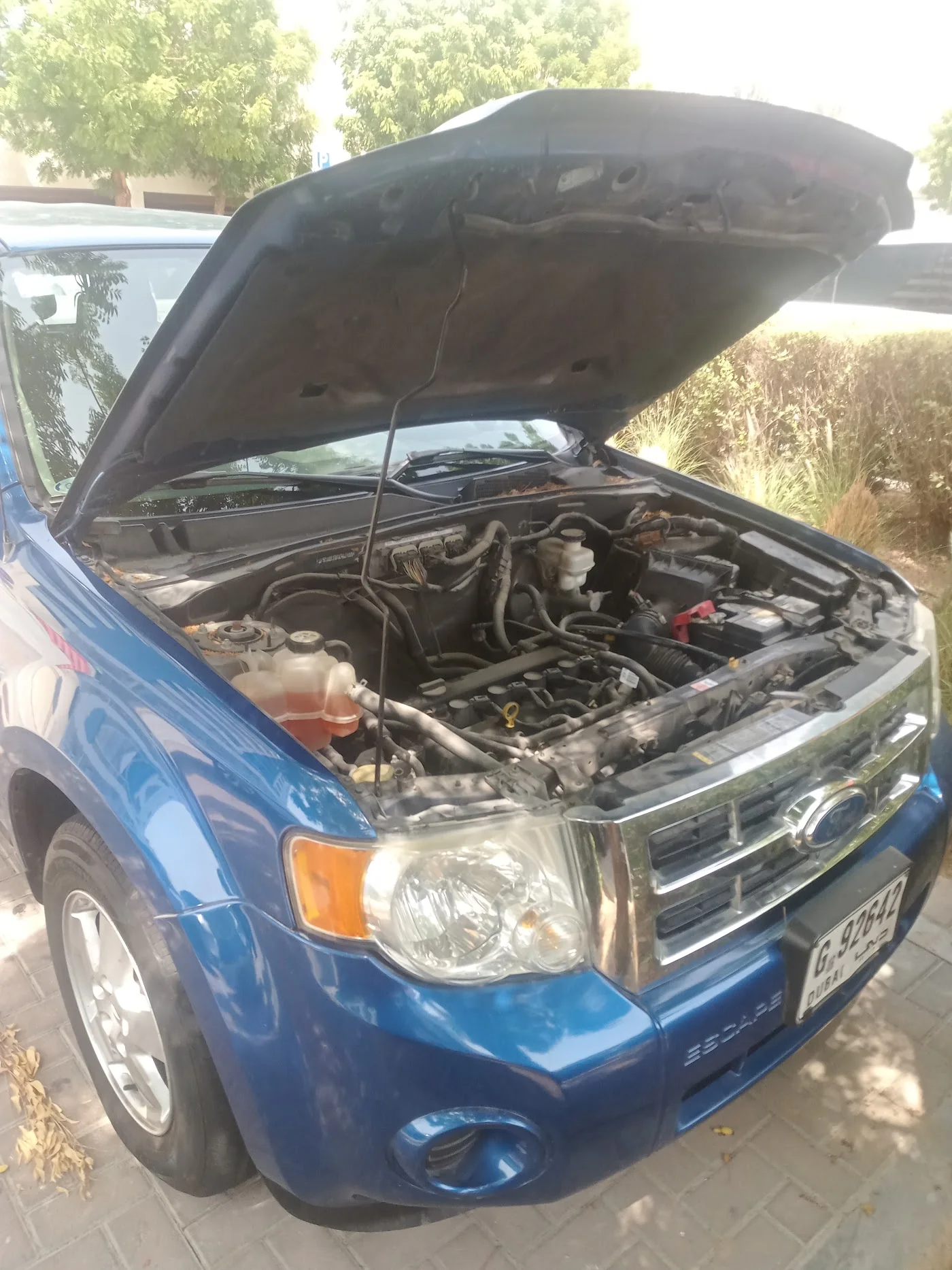 On-site Diagnostics & Repair image