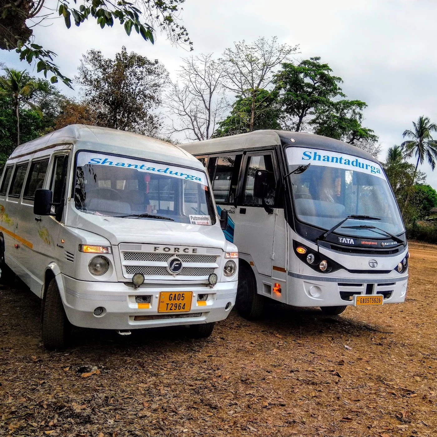 Kerala & South India Tours image