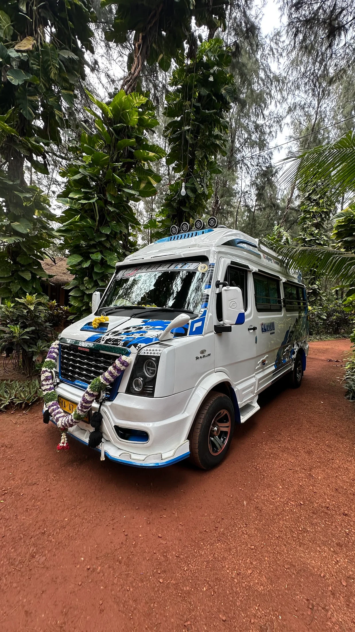 Guided sightseeing tours image