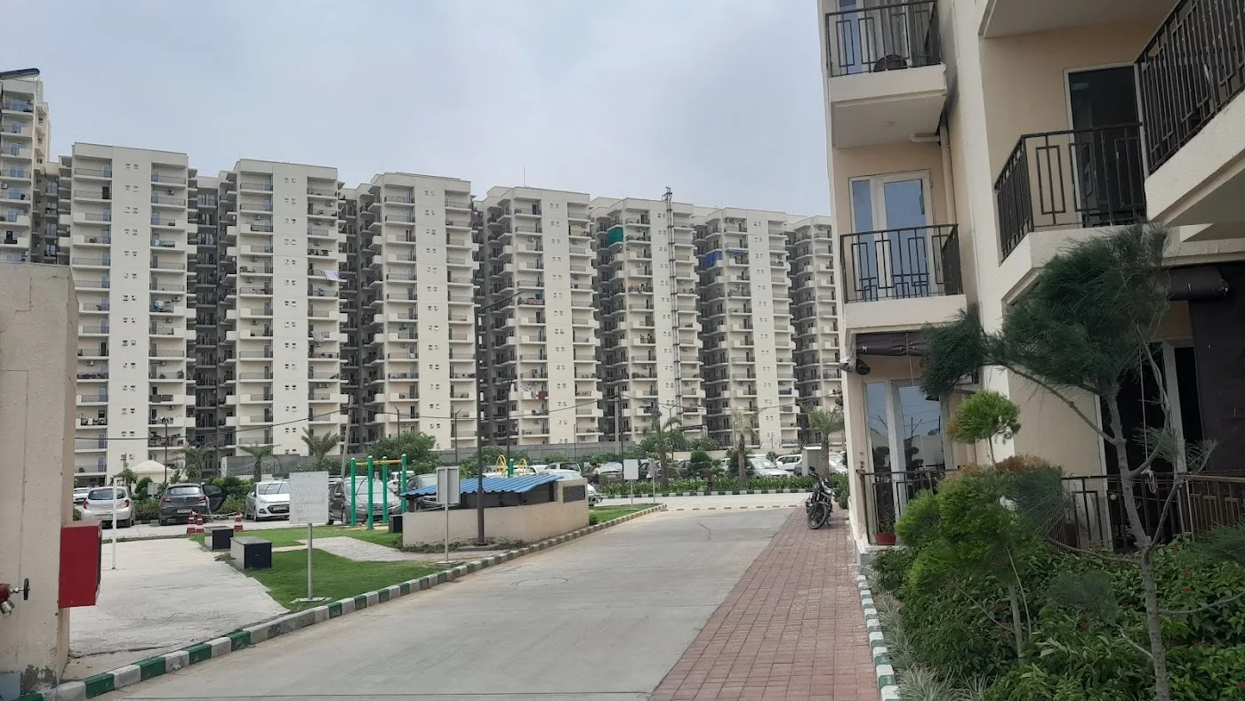 Rental Services image