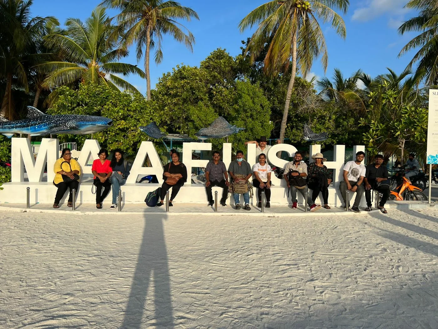 Adventure Tours & Activity Booking image