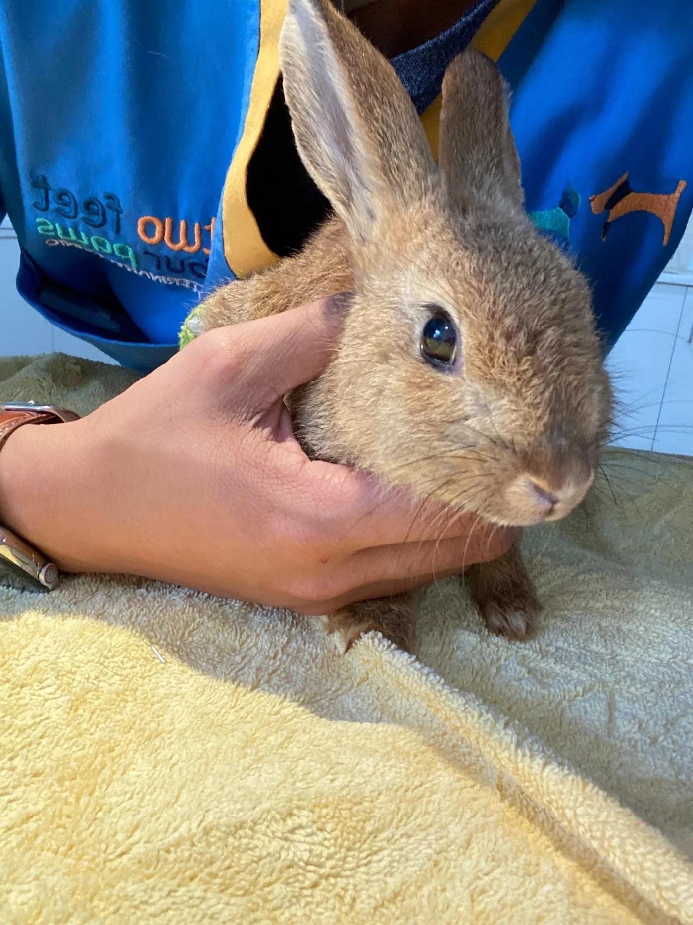 Exotics & Aquatic Care image