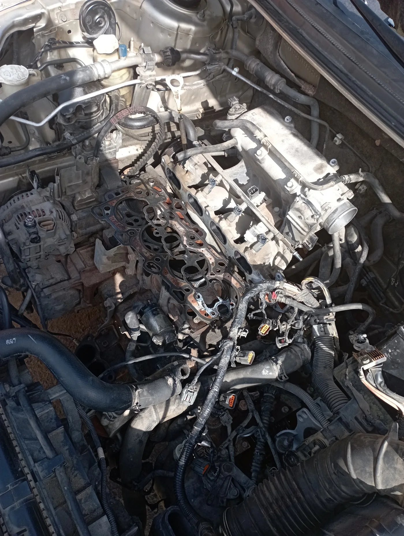 Oil change & scheduled maintenance image