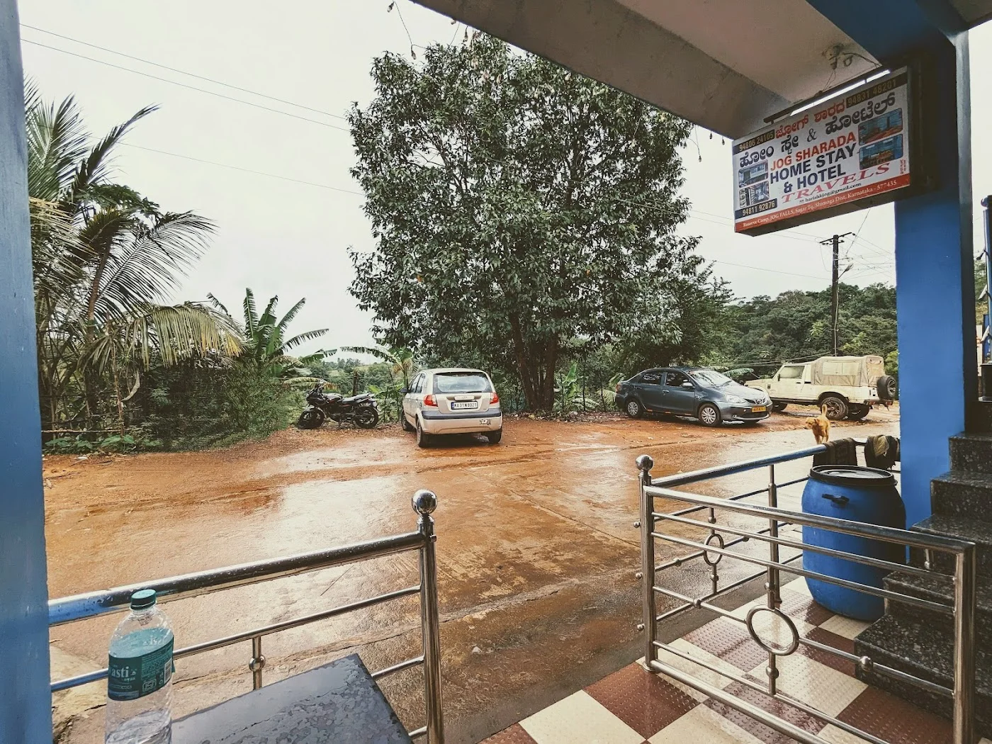 Local guidance & arrangements image