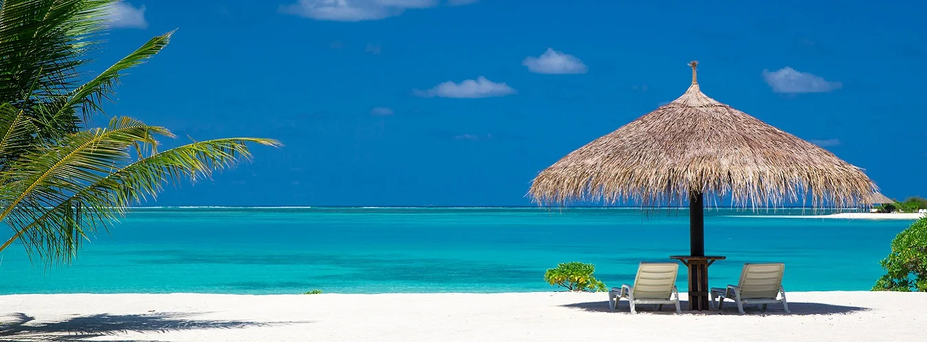 Vehicle Rental image