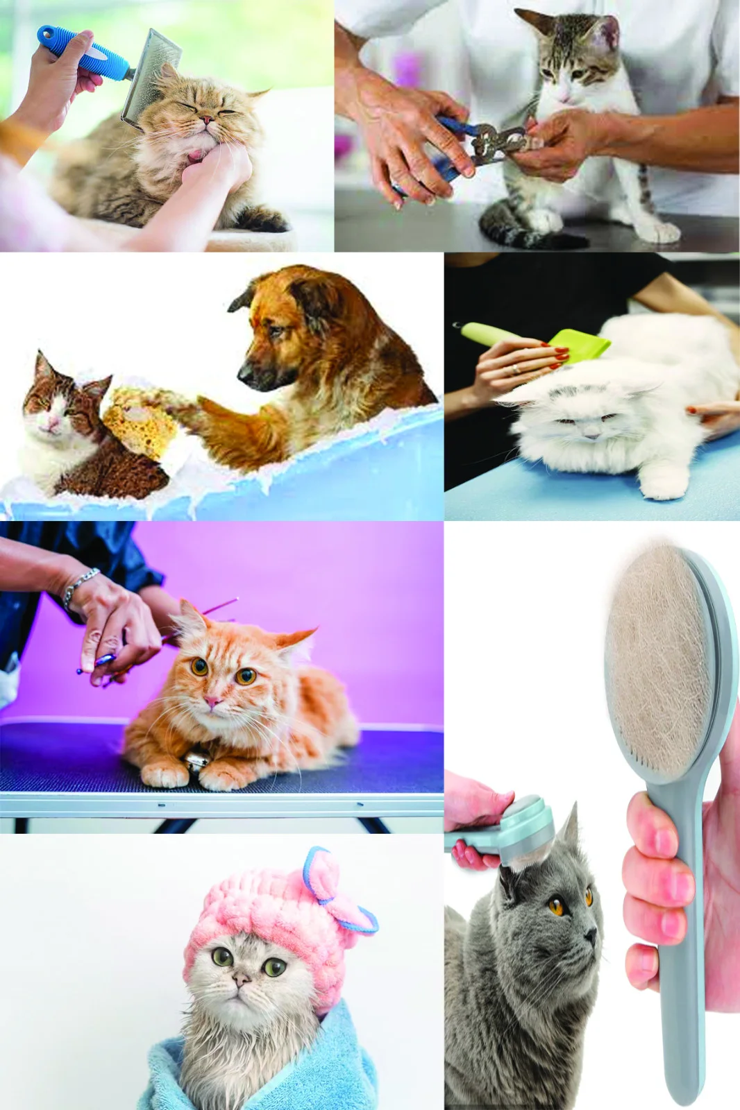Routine Health Check image