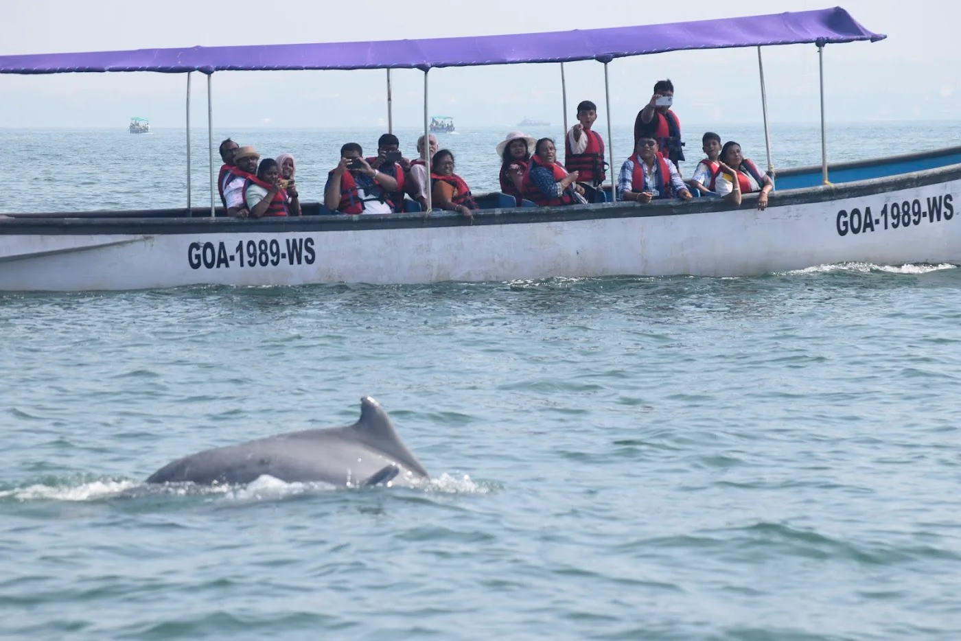 Group & Family Tours image