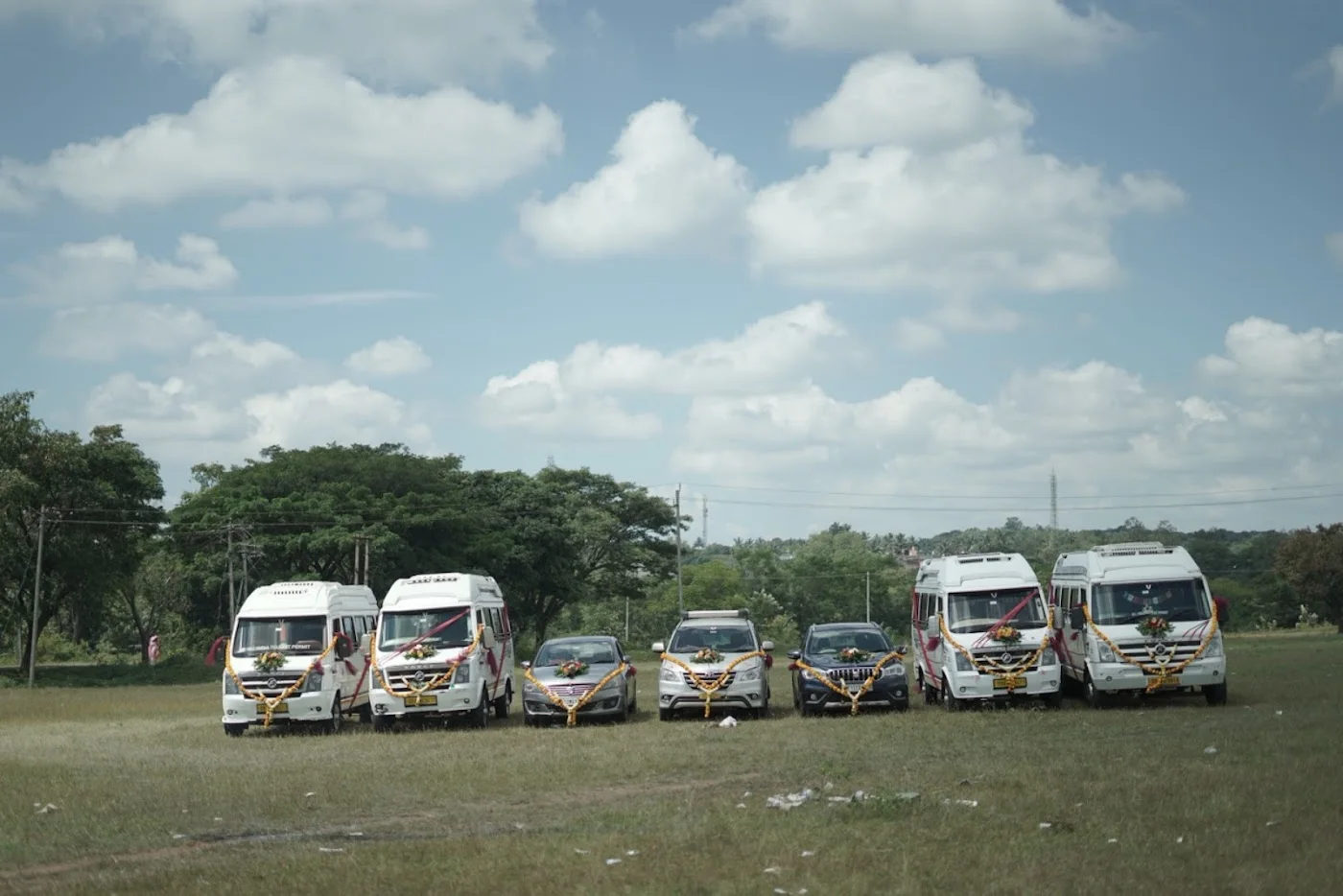Local sightseeing & day tours image