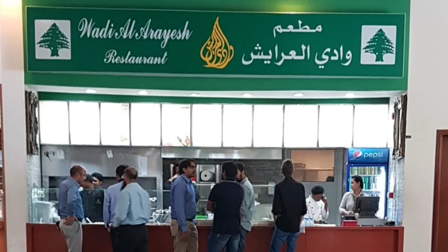 Shawarma Wrap image