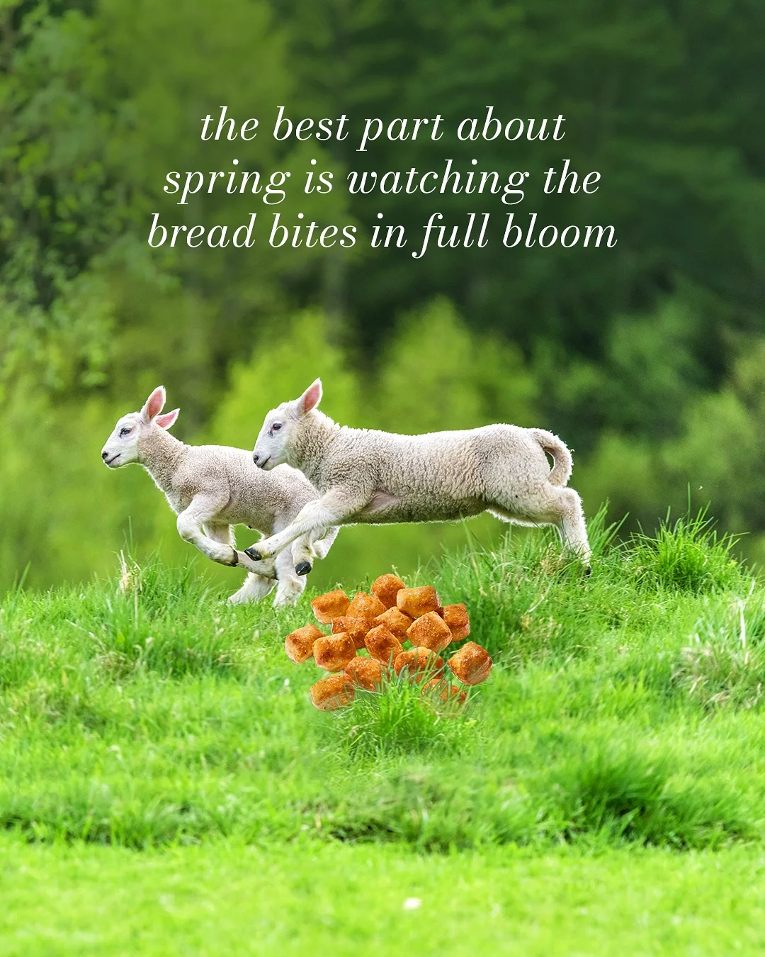 Like fresh dough, spring will rise again. image