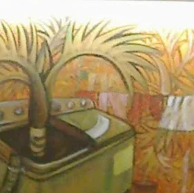 Rayees Abdulla image