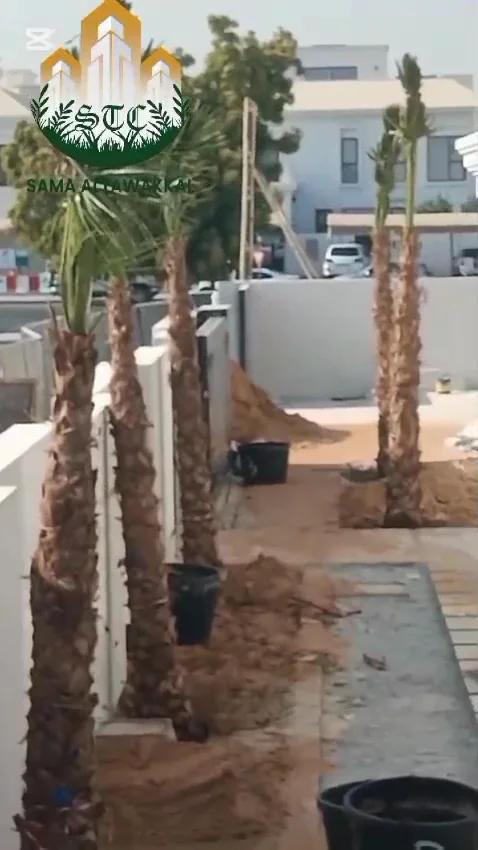 Hardscape & Paving image