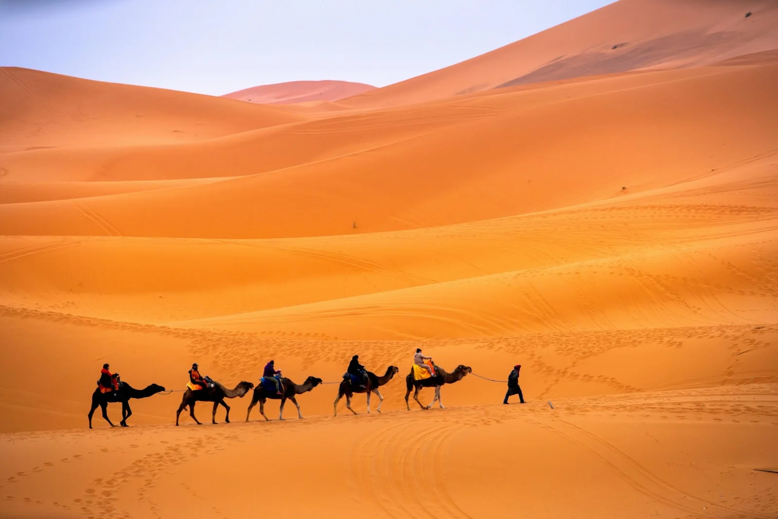 Sunset Desert Safari (Shared) image