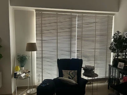 Translucent Polyester image