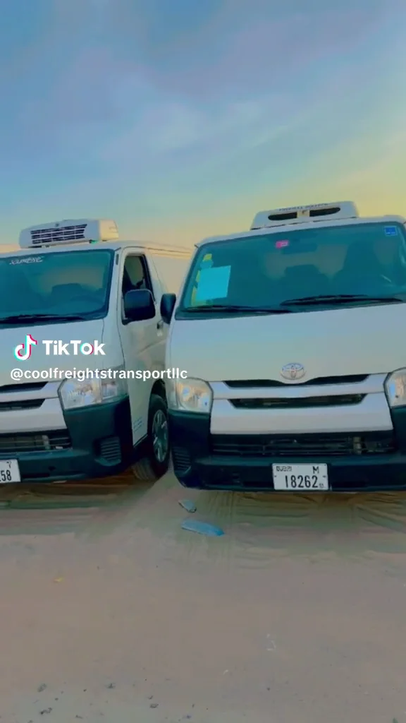 Last‑Mile Refrigerated Delivery image