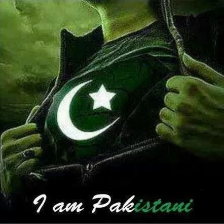 Muhammad Bilal Afzal image