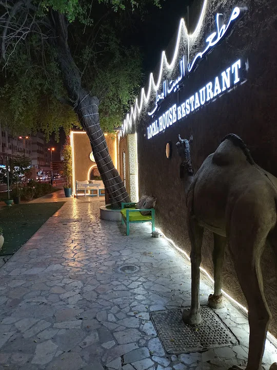 Ali Bozorgtar image