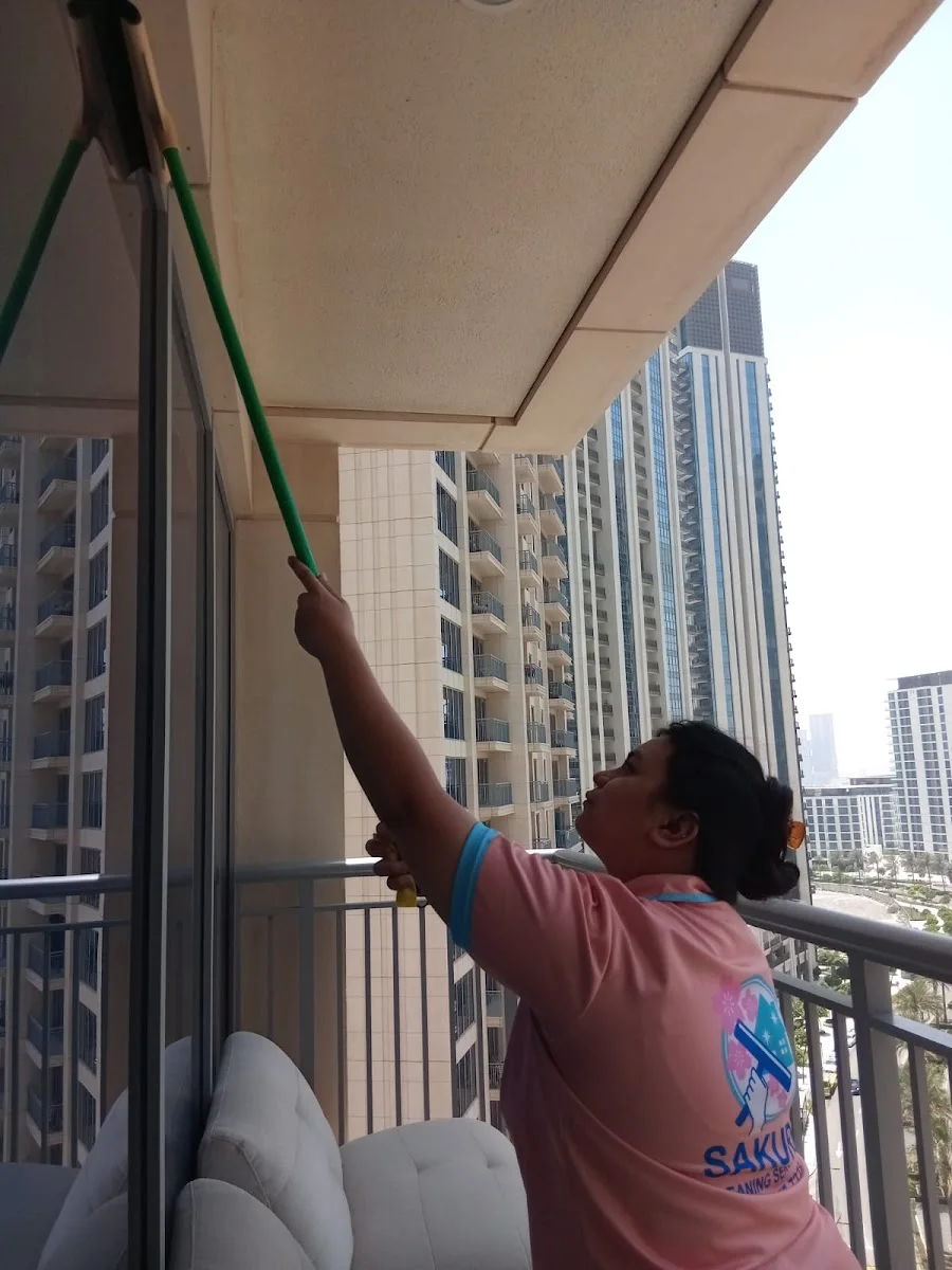Regular Home Cleaning image