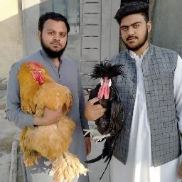 Customer image