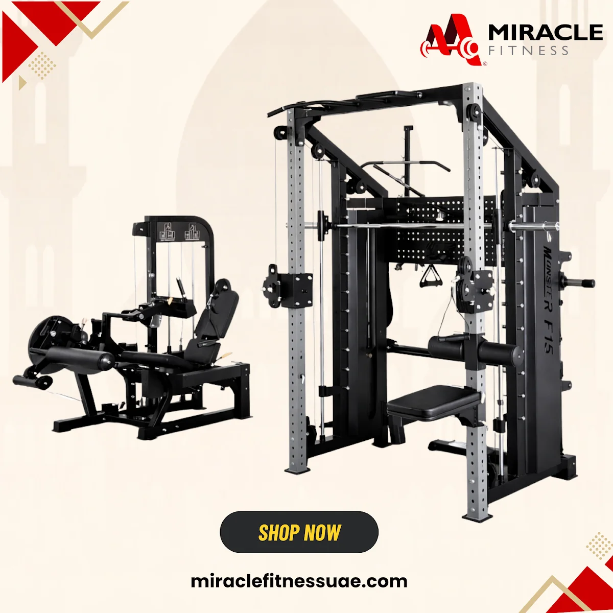 Bulk supply for gyms image