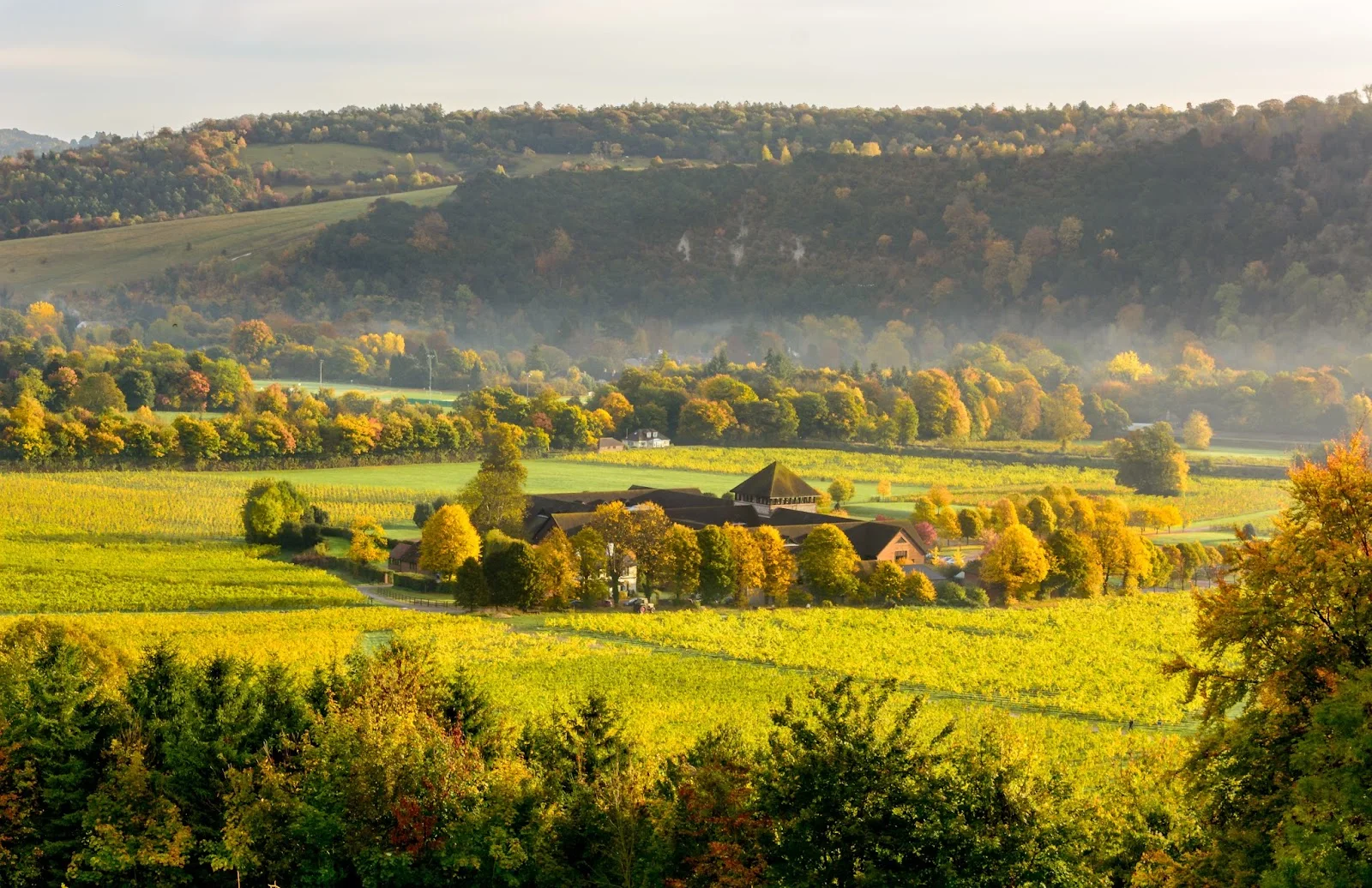 Private Tasting & Group Experiences image