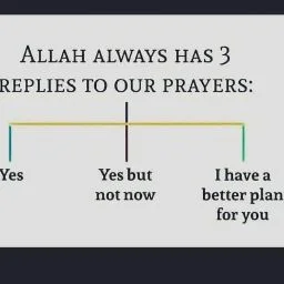 S.A. image