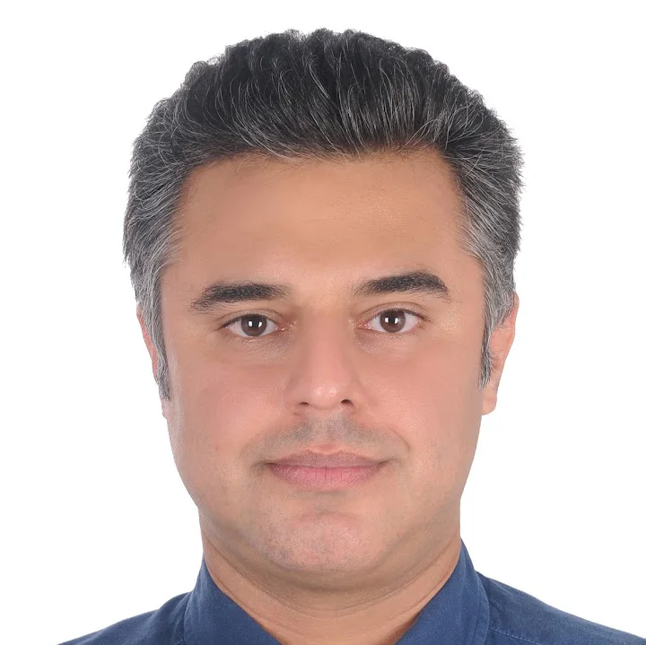 Ali Darvishi image