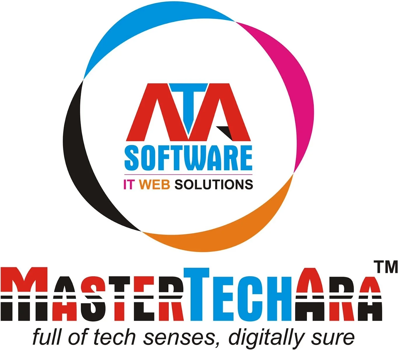 Custom Web Application image