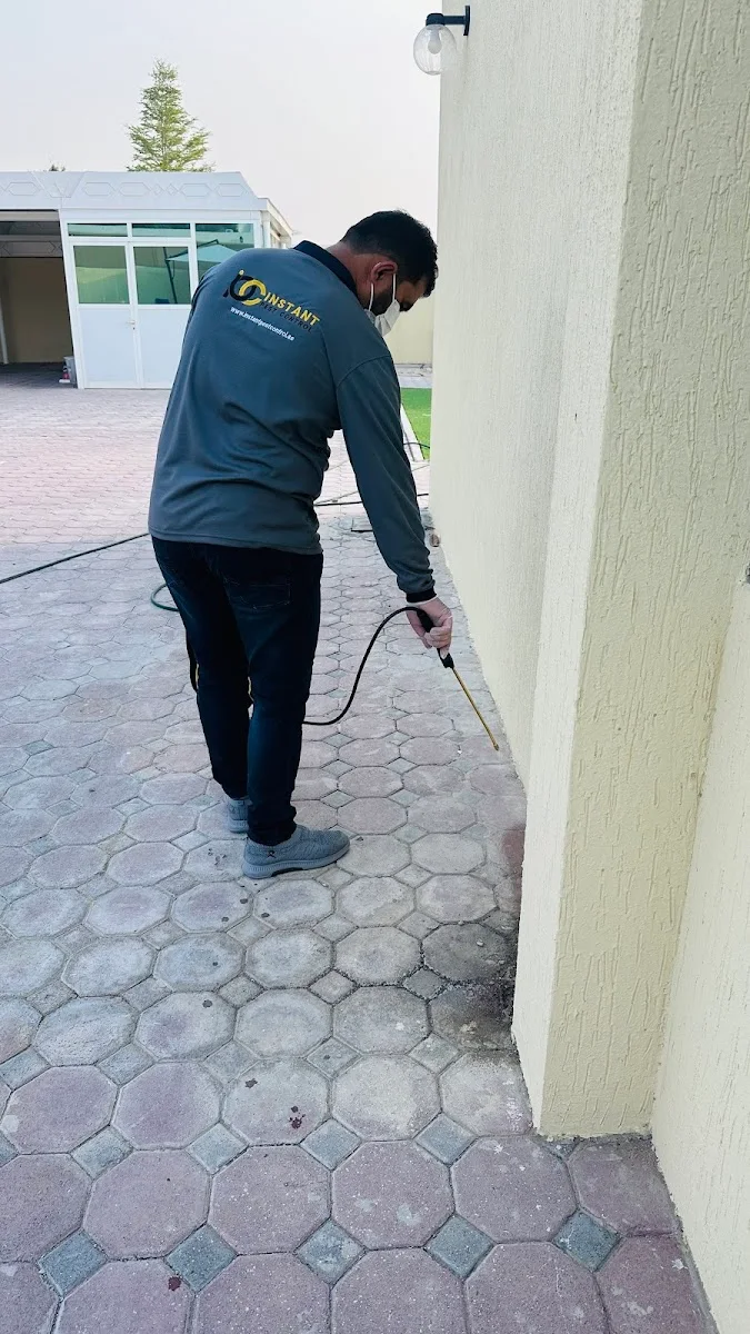 Termite Inspection & Treatment image
