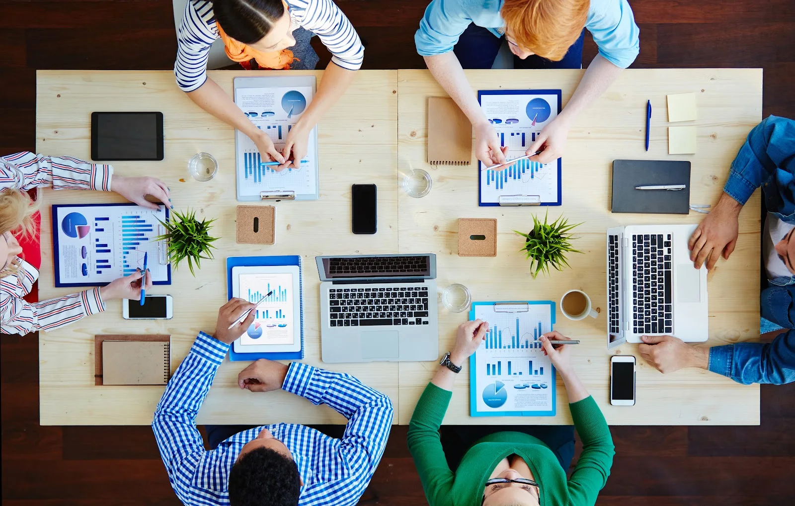 Business Setup image