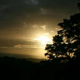 W Chittenden image
