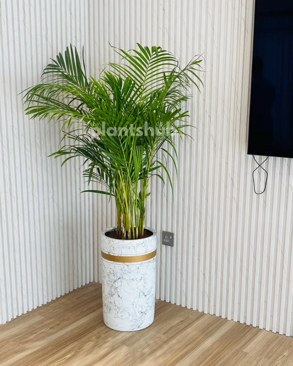Curated plant selections image