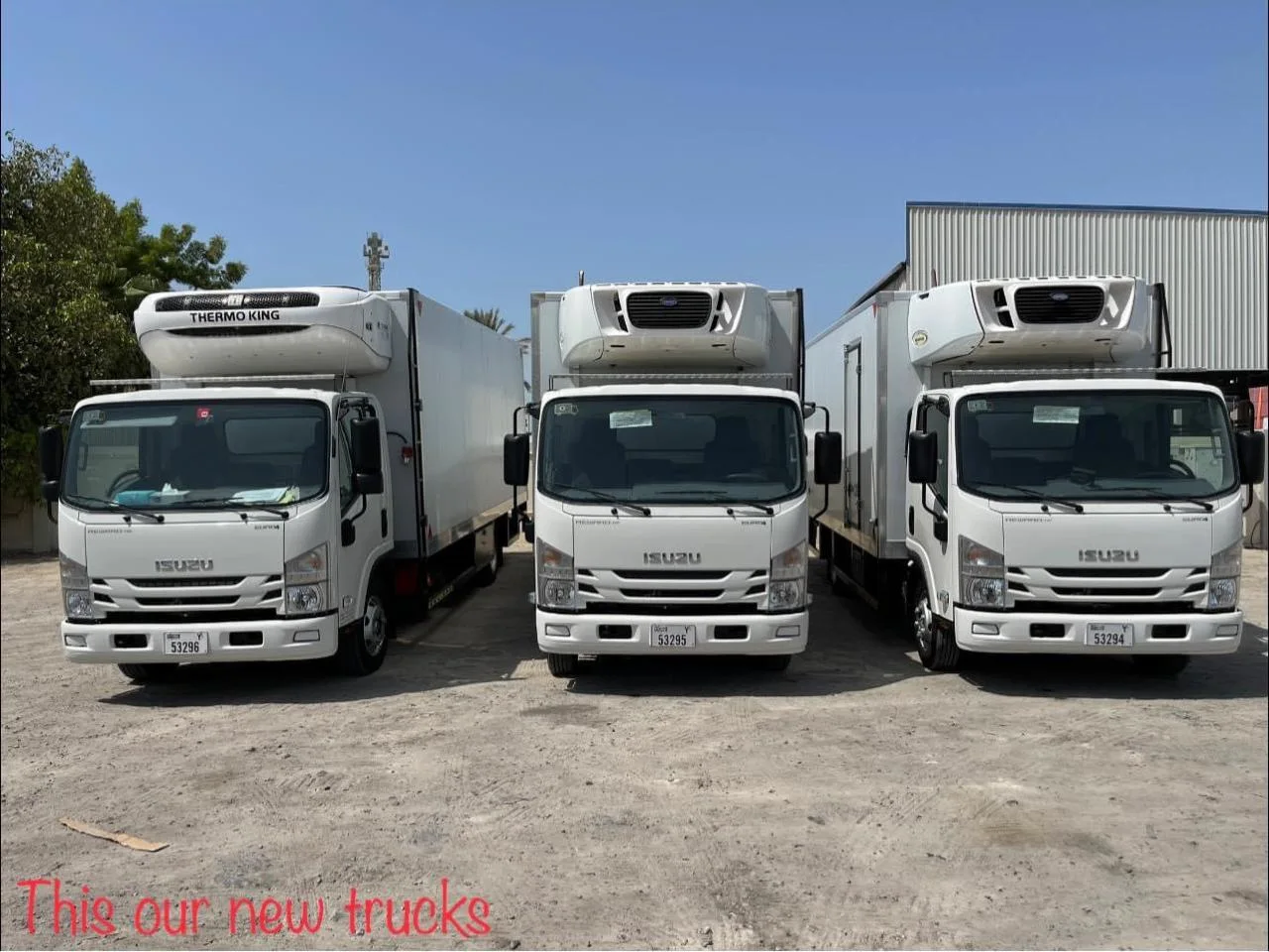 Chiller truck rental (medium loads) image