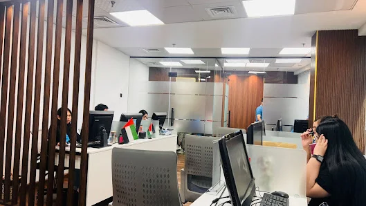 Visa Services image