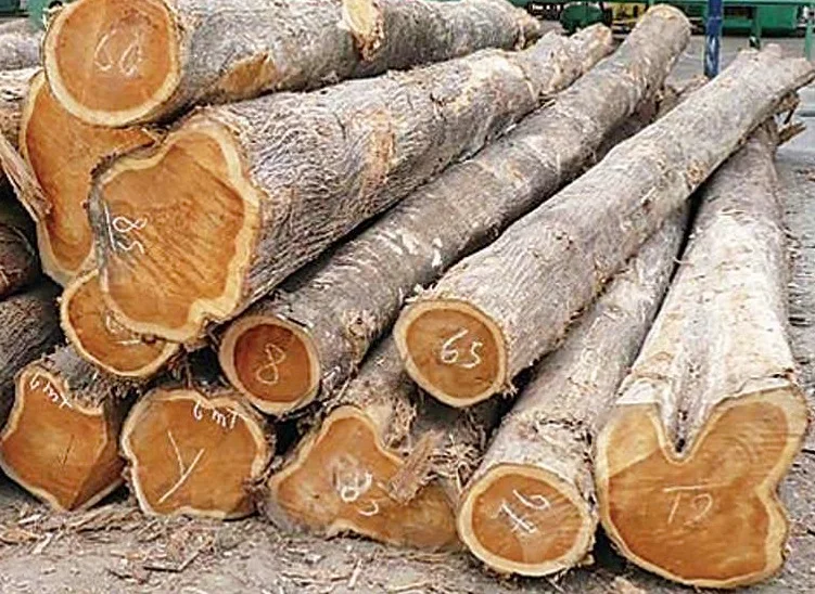 Logistics & Local Representation image