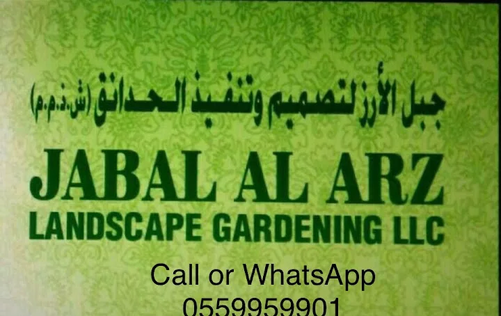 irshad brohi image