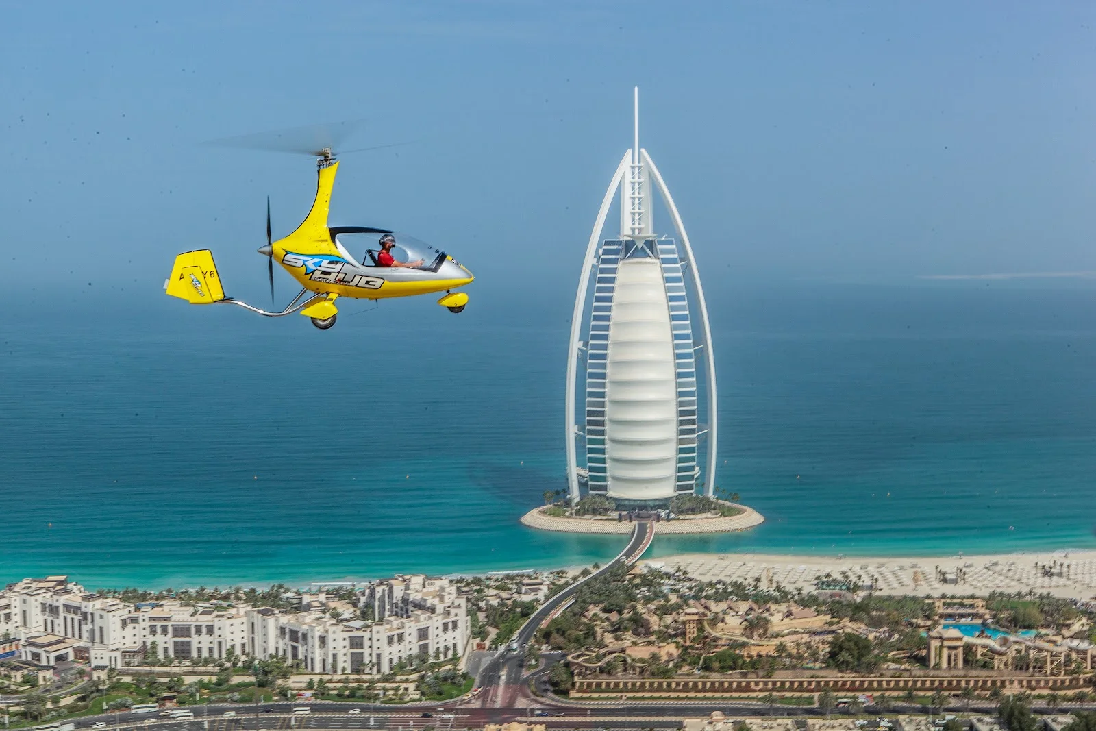 City Tours & Sightseeing image