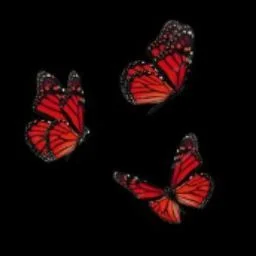 Shweta image