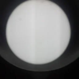 juaquin exequiel algarañaz image