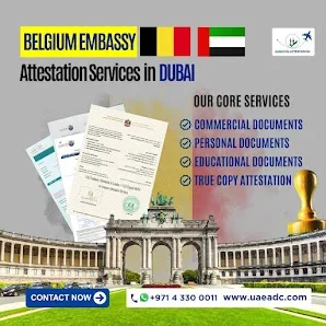 Notary Services & Legalization Support image