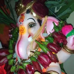 Amruta Shirsat image